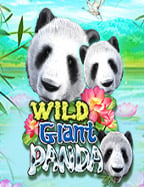 วิธีสมัคร asia 777 และสูตรเล่นสล็อตชนะง่ายๆ